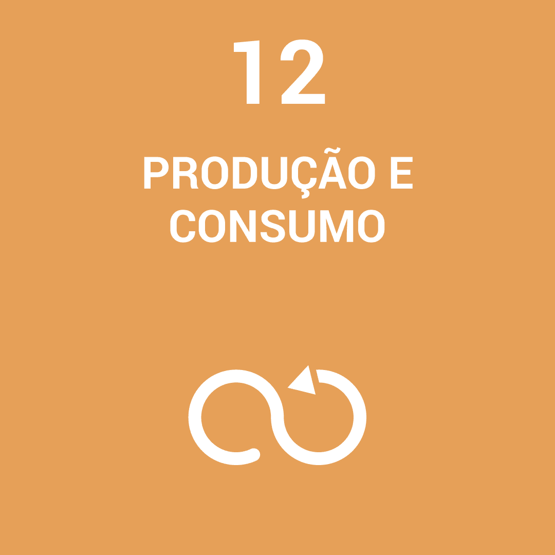 ODS 12 — Produção e Consumo Sustentáveis